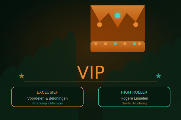 VIP Programma